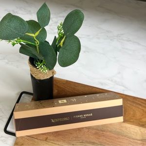 Limited Edition Nespresso Infiniment Gourmand Vertuo Capsule 10 Count Box